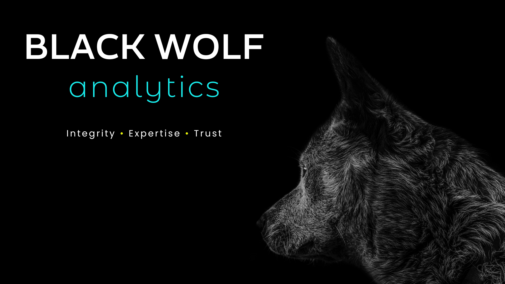 Black Wolf Analytics image 1