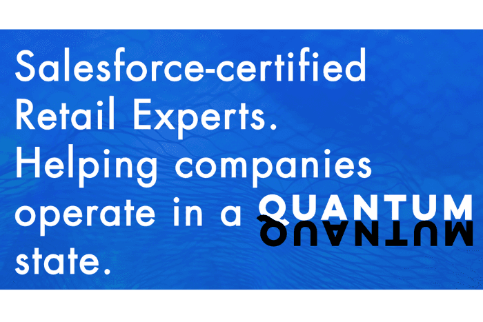Quantum Lead Consulting image 1