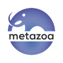 Metazoa Snapshot - The Ultimate Org Management Toolbox