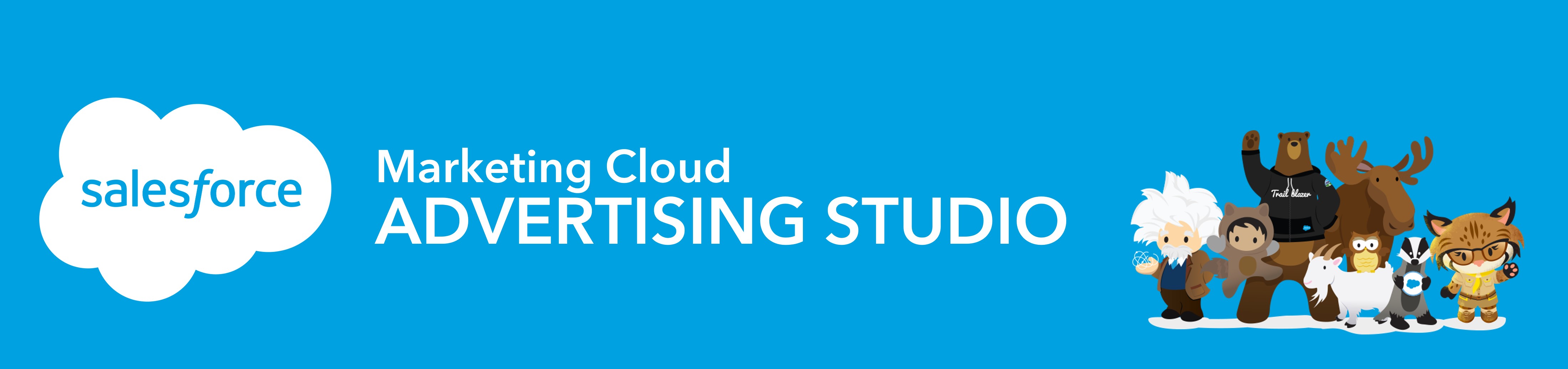 Salesforce Advertising Studio