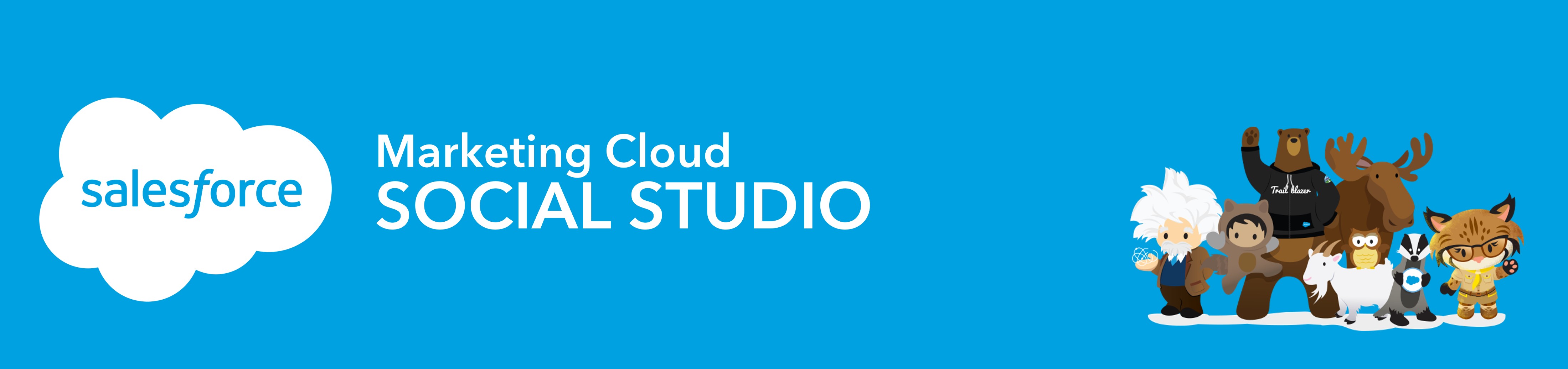 Salesforce Social Studio