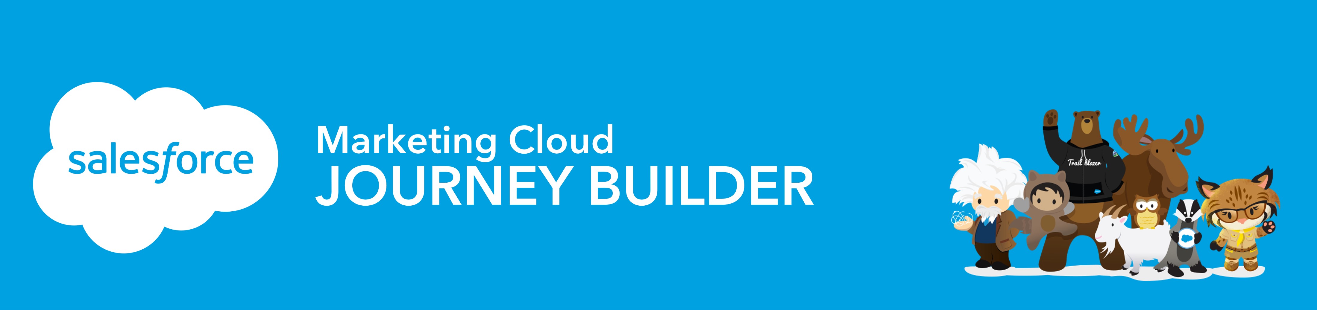 Salesforce Journey Builder