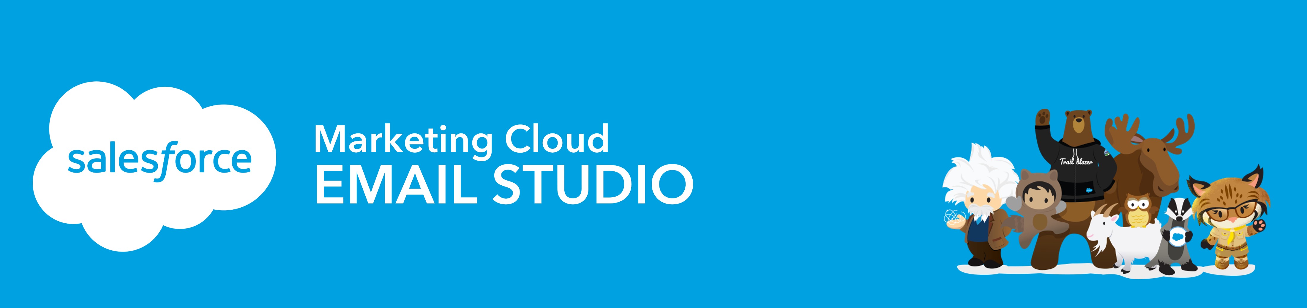 Salesforce Email Studio