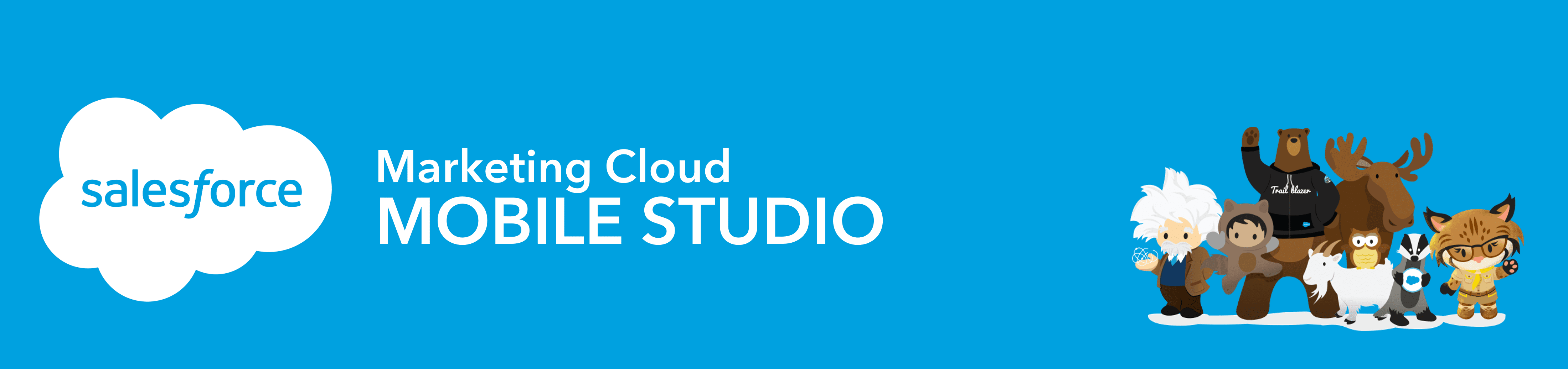 Salesforce Mobile Studio