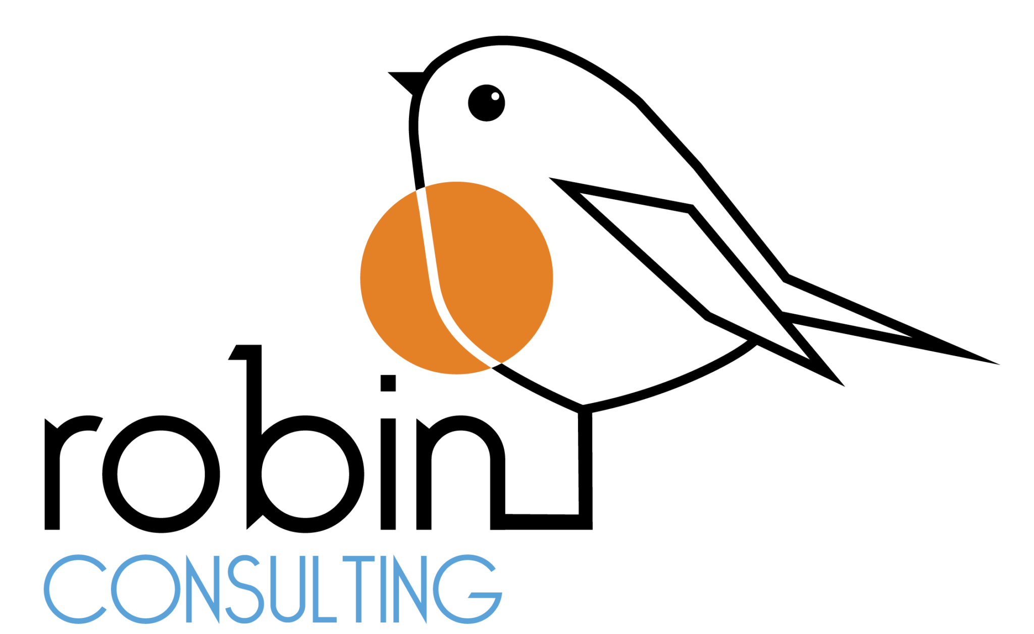 Robin Consulting