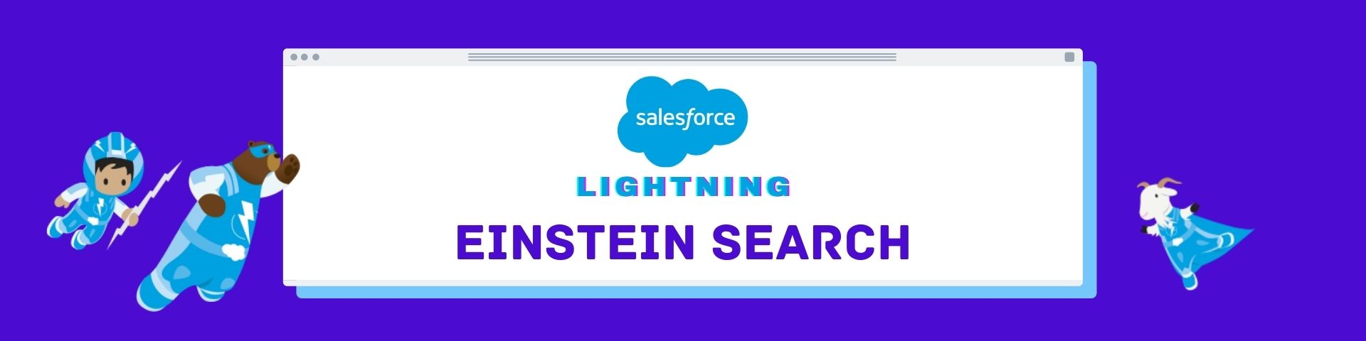 Salesforce Lightning Einstein search