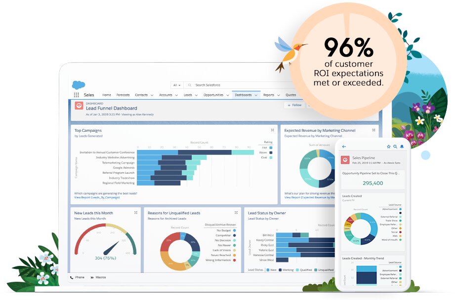 salesforce statistics