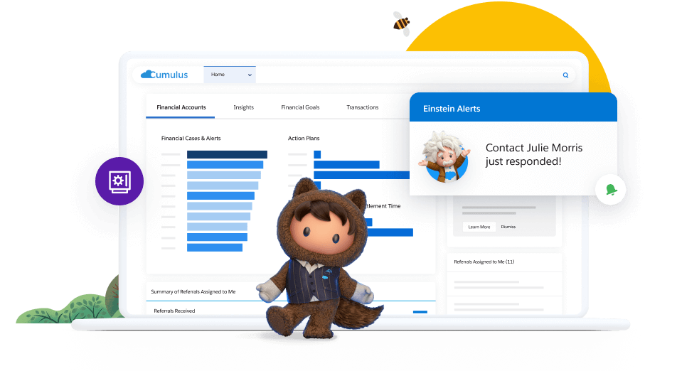 Salesforce Financial Service Cloud