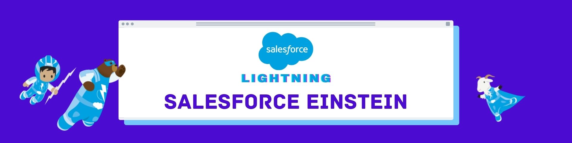 Salesforce Lightning Einstein