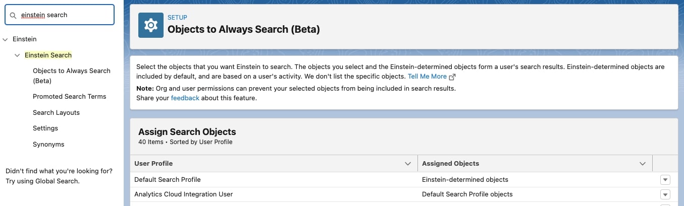 Einstein Search Interface