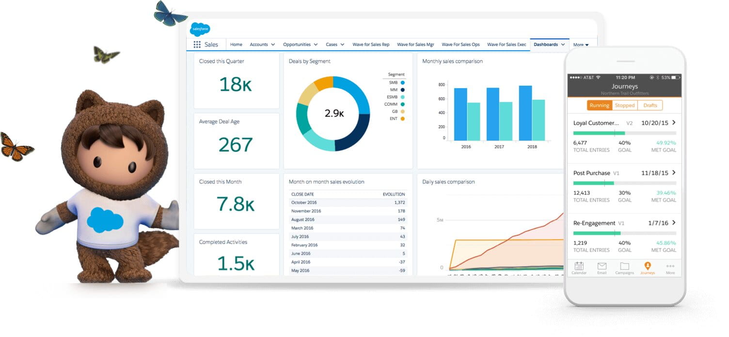 salesforce platform