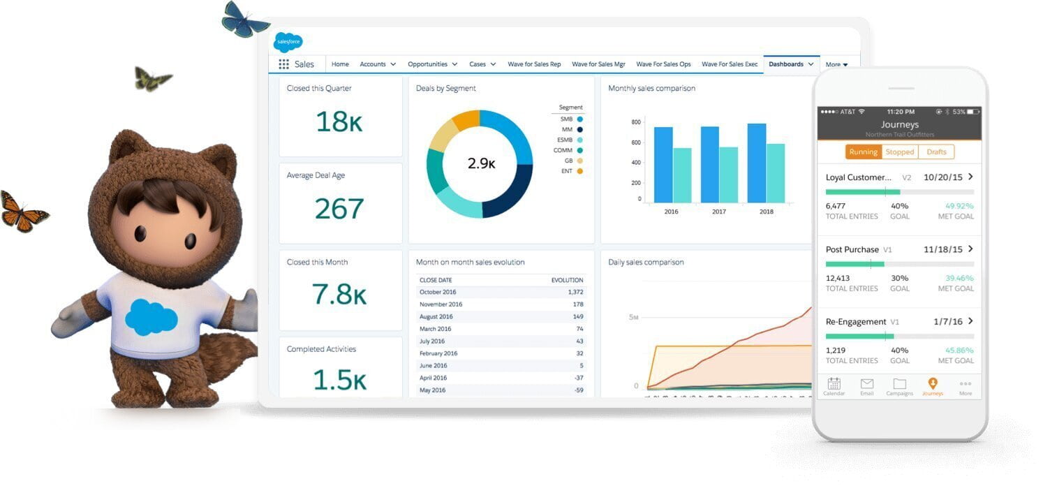 Salesforce platform